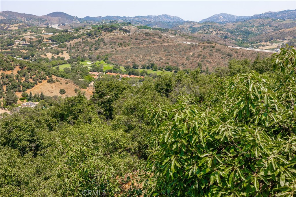 2125 Puerto Del Mundo Fallbrook, CA 92028 - Photo 47 of 51