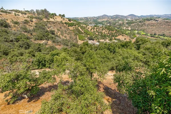 a view of a backyard of a house