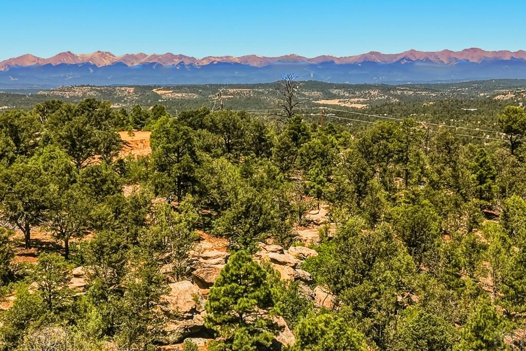 24900 County Road Boncarbo, CO 81024 - Photo 39 of 52