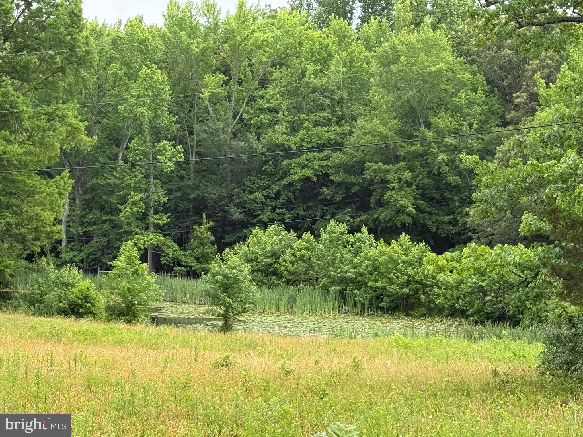 204 Alloway Aldine Road Woodstown, NJ 08098 - Photo 10 of 19