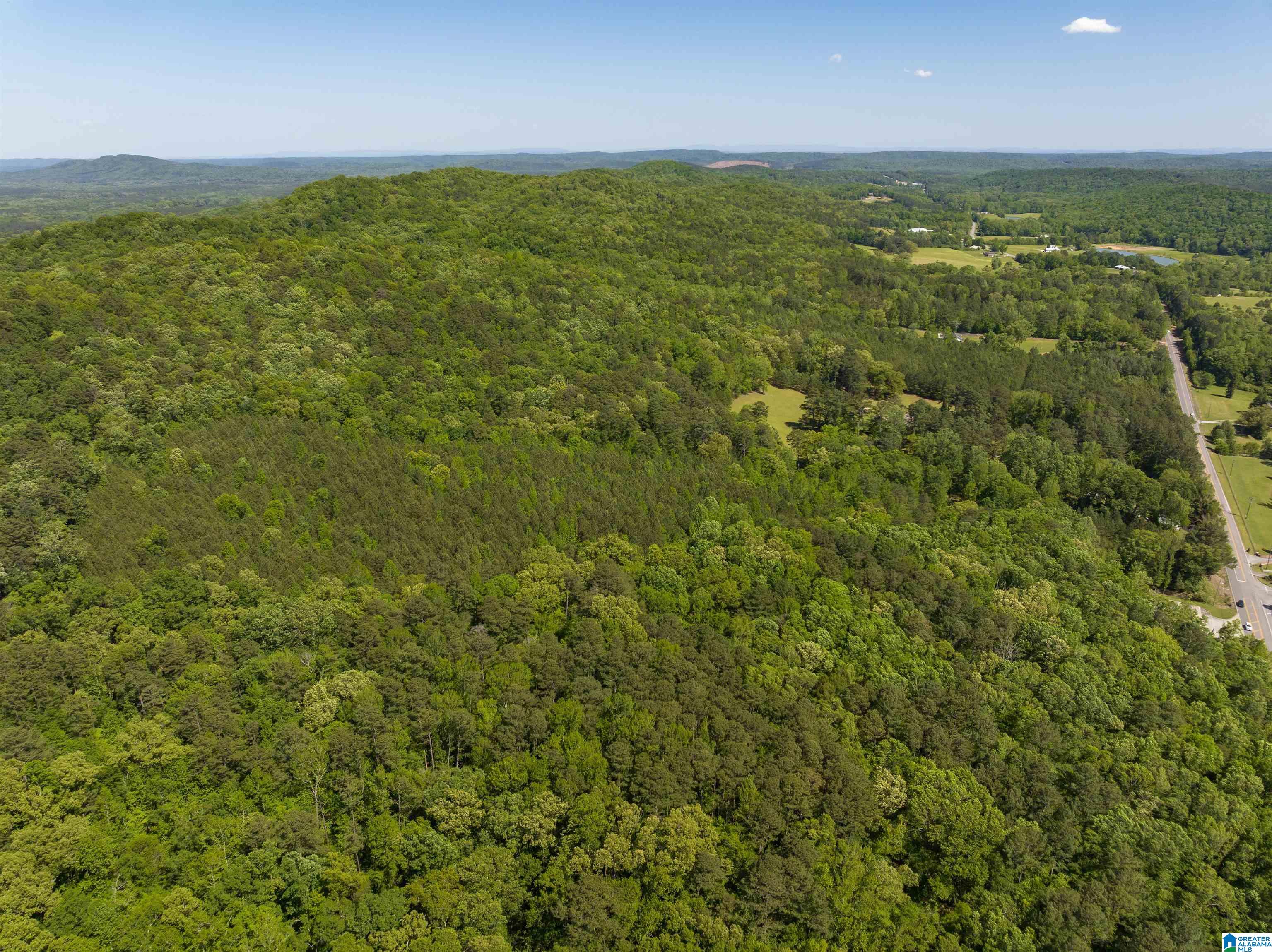 1649 Highway 174 Springville, AL 35146 - Photo 7 of 8