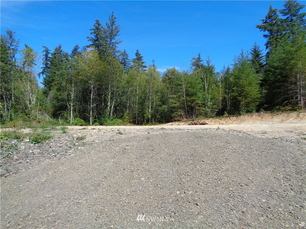 0 Sidney Road Southwest Port Orchard, WA 98367 - Photo 3 of 5 Gallery Image 3