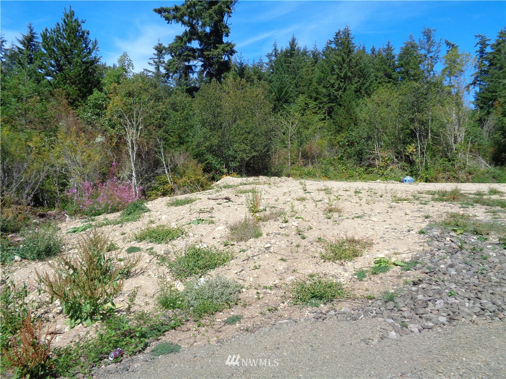 0 Sidney Road Southwest Port Orchard, WA 98367 - Photo 4 of 5 Gallery Image 4