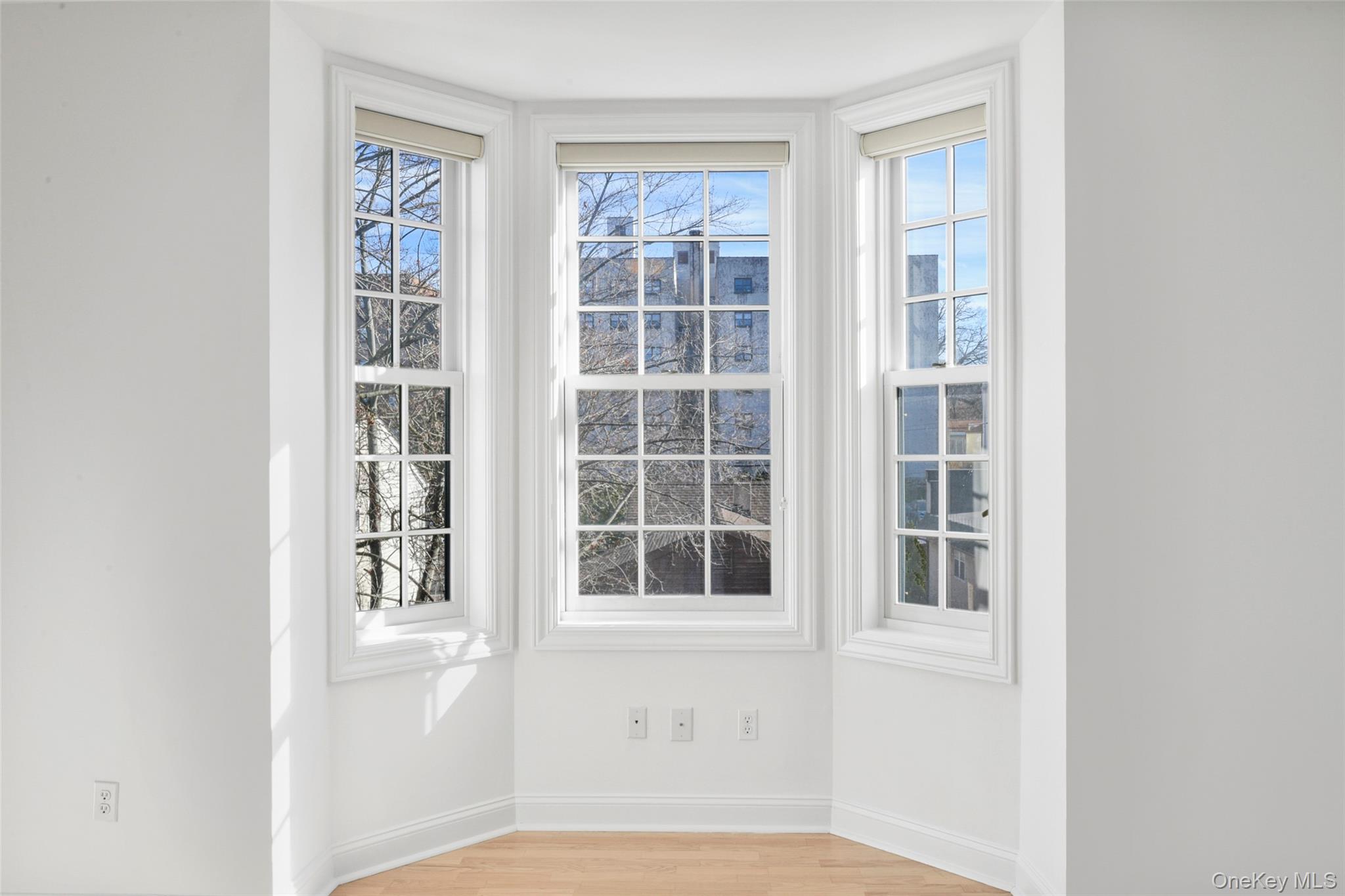55 1st Street, Unit 207 Pelham, NY 10803 - Photo 14 of 23 Detailed view of wood finished floors and baseboards