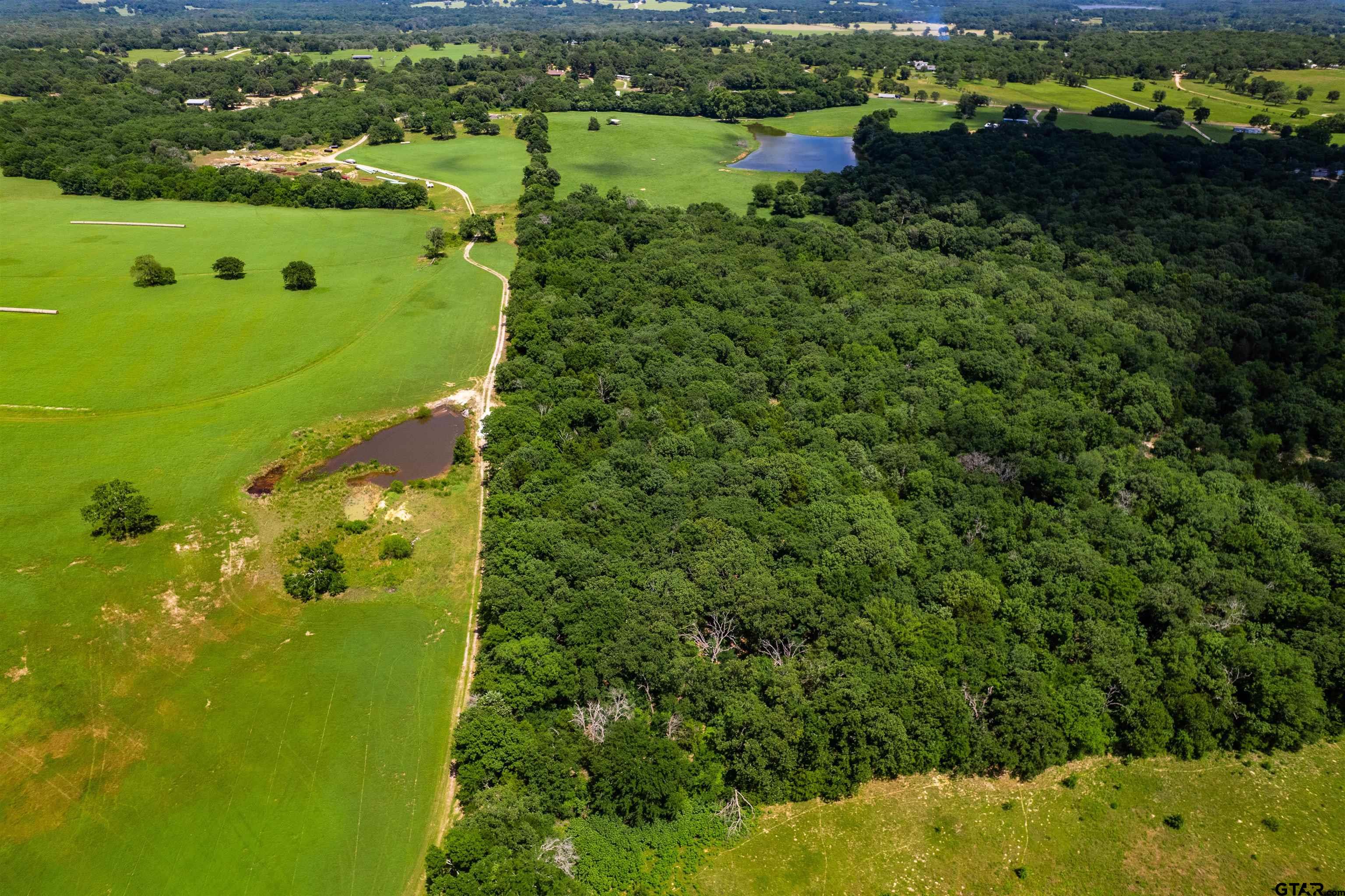 8970 Fm 59 Athens, TX 75751 - Photo 12 of 14 a view of a lake with a houses