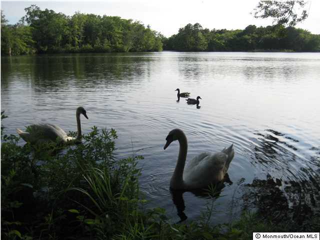 1761 Forge Pond Road Brick, NJ 08724 - Photo 9 of 12 a view of a lake in middle of forest