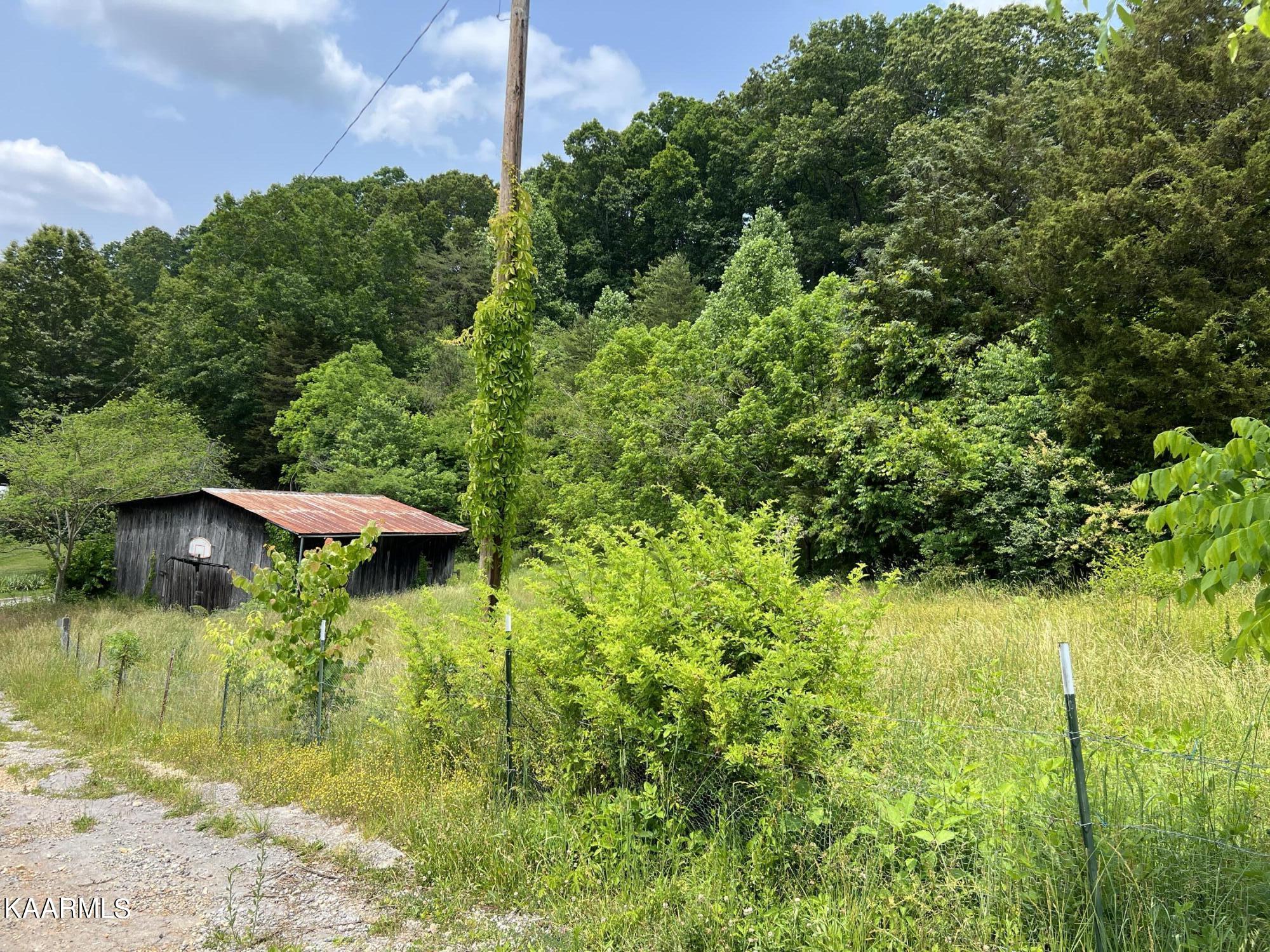 288 Old Forge Ridge Road Harrogate, TN 37752 - Photo 7 of 22 9BFDA546-3CBB-4A3D-B2A0-7E99EF0303FF