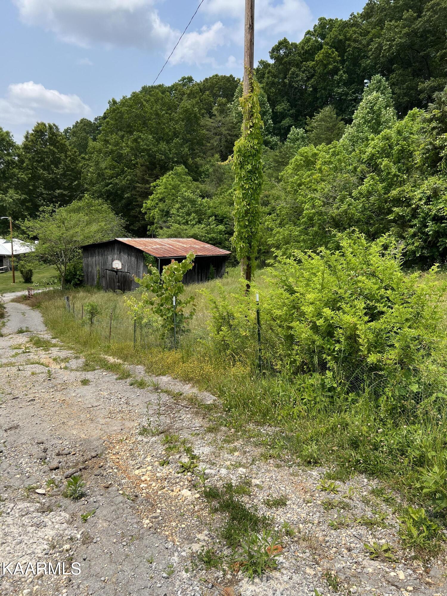 288 Old Forge Ridge Road Harrogate, TN 37752 - Photo 8 of 22 7B17EFCC-1327-497C-B3BA-E417BCCD7BA4
