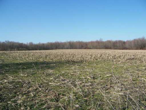 0 Bowmantown Road Cranesville, PA 16410 - Photo 1 of 5 Land.