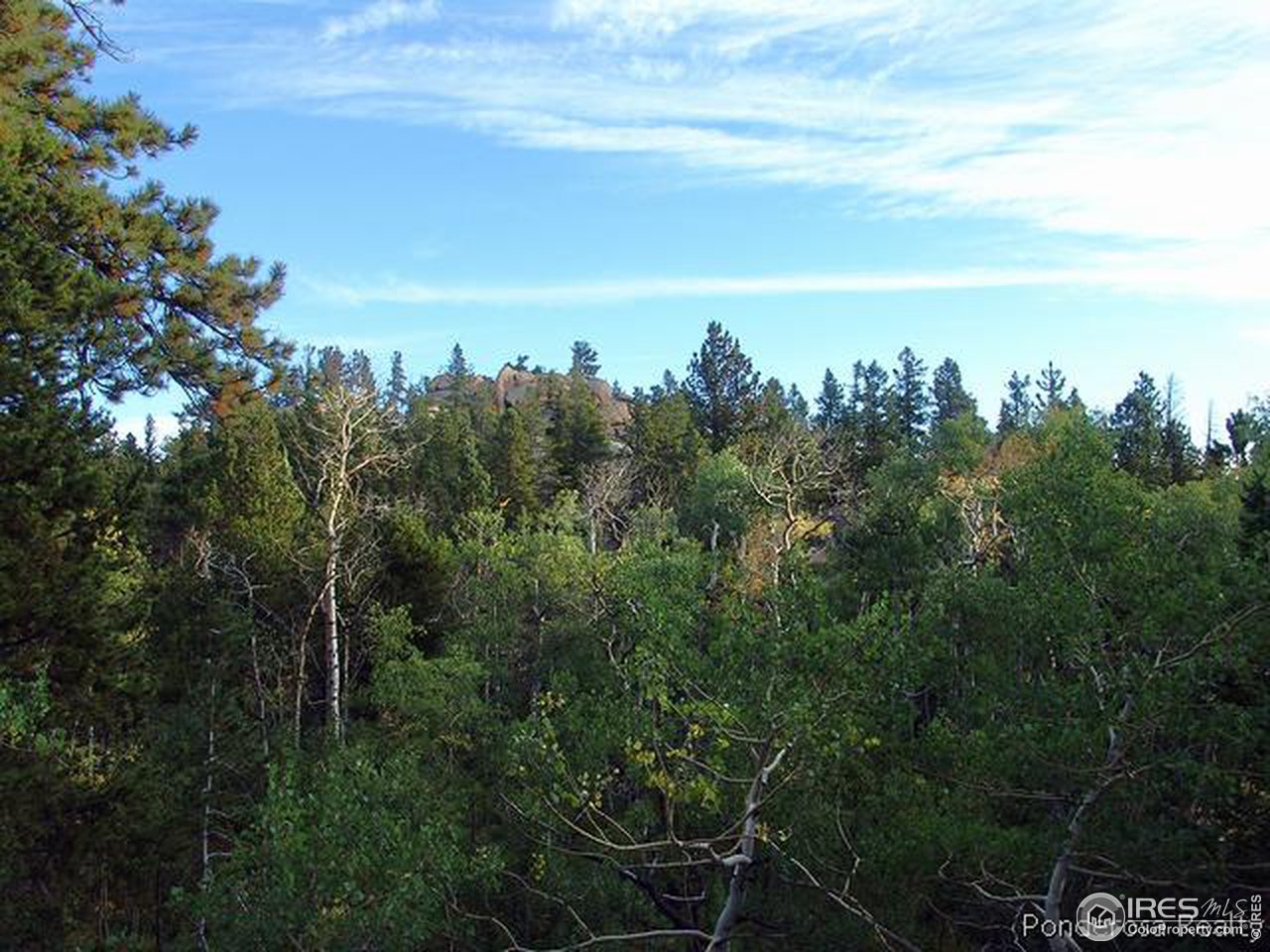 942 Crow Road Red Feather Lakes, CO 80545 - Photo 1 of 5 Gallery Image 1