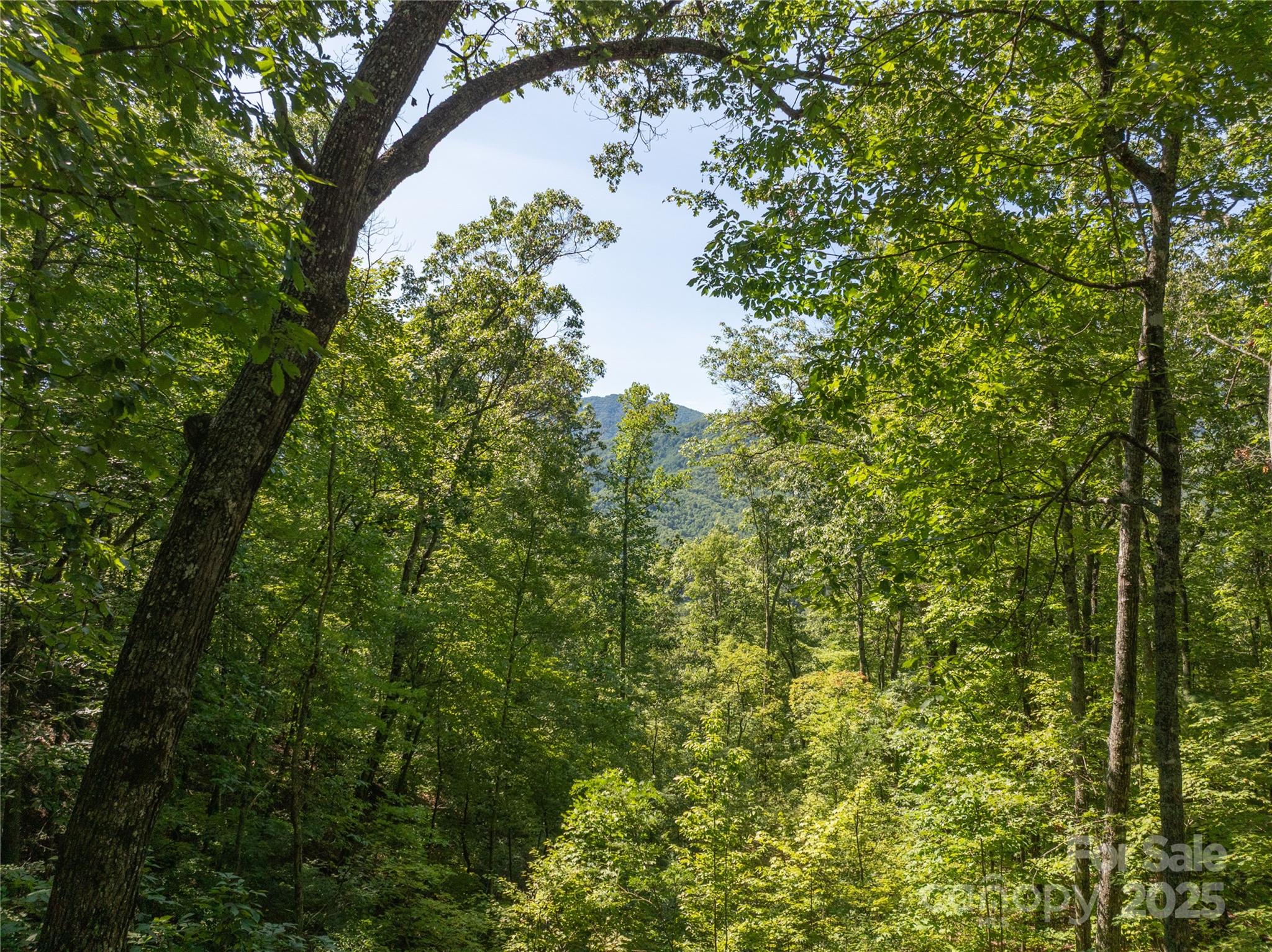 9999 Cindy Cove Road Robbinsville, NC 28771 - Photo 12 of 28