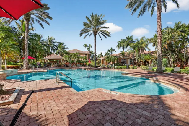 a view of a park with plants and palm trees