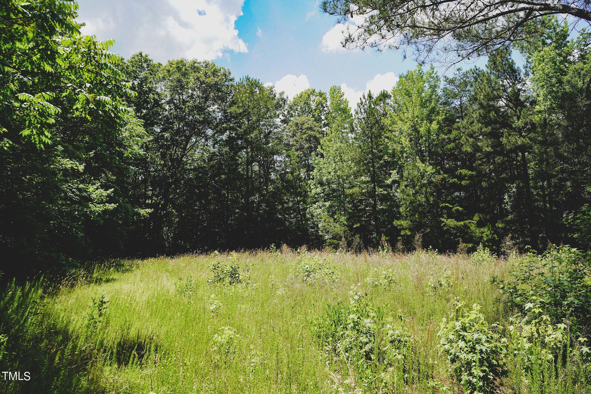 111-acres Hobgood Road Rougemont, NC 27572 - Photo 54 of 65 51