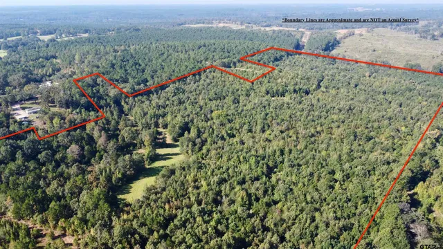 a view of a bird bath room