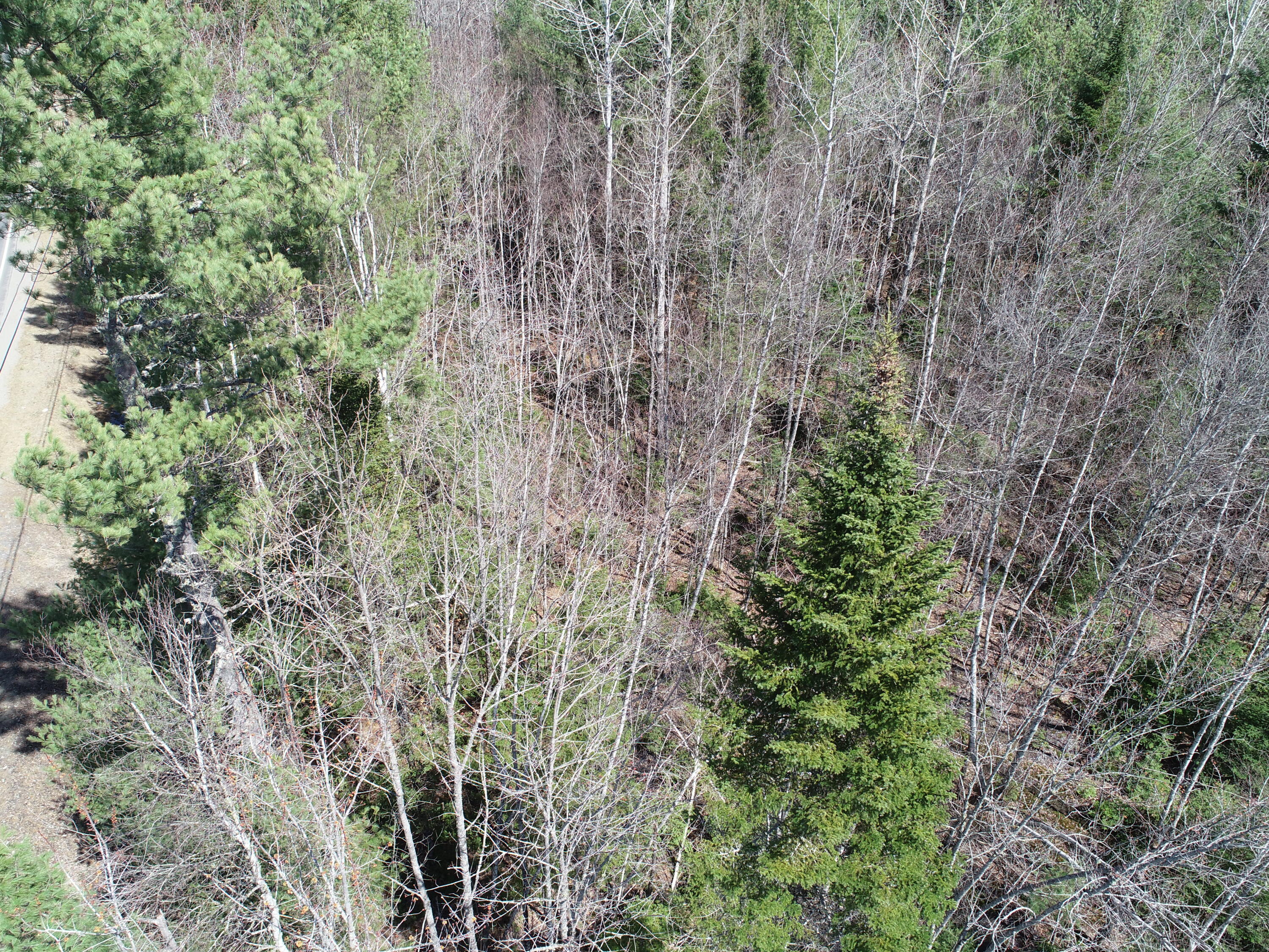 23 & Halls Bridge Road Canaan, ME 04924 - Photo 22 of 22 DJI_0011