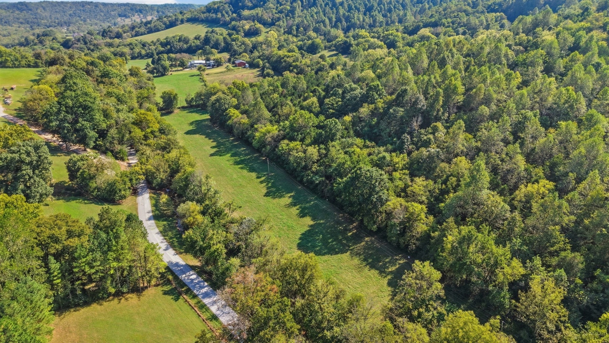 0 Opossum Paw Road Beechgrove, TN 37018 - Photo 17 of 22 Gallery Image 17