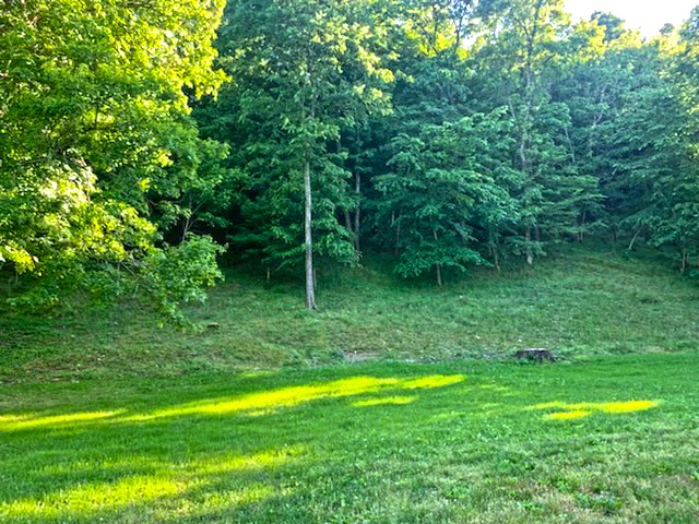 120 Windsor Road Centerville, TN 37033 - Photo 11 of 21 Gallery Image 11