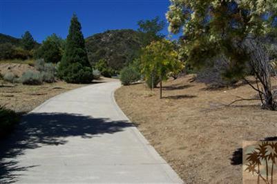 60533 Devils Ladder Road Mountain Center, CA 92561 - Photo 6 of 8 a view of a backyard