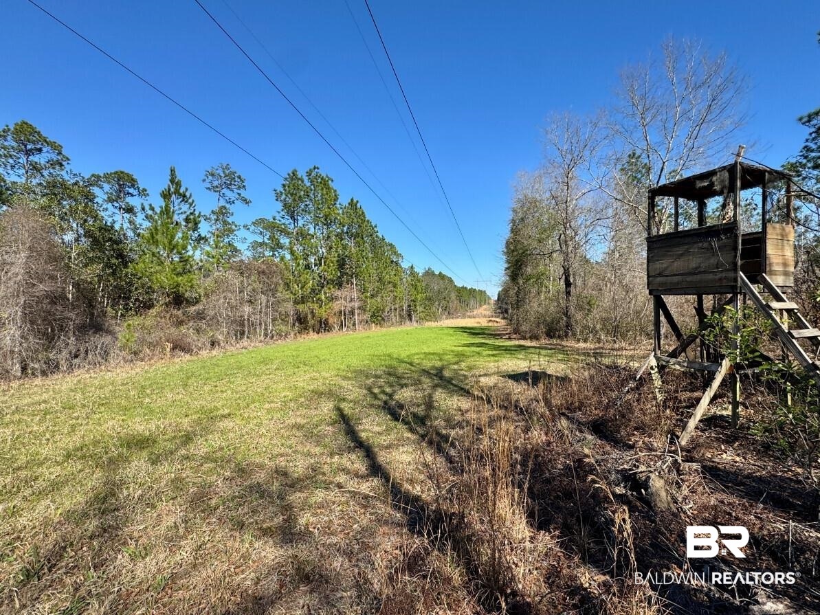 White Road Bay Minette, AL 36507 - Photo 29 of 32 View of yard