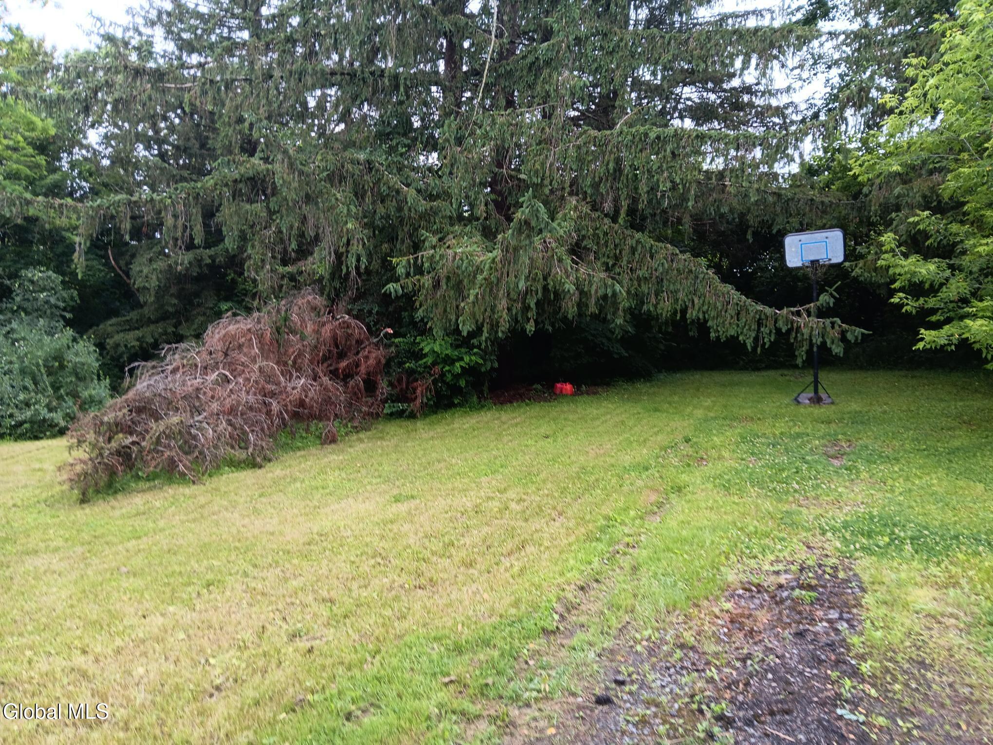 352 Hillside Road Duanesburg, NY 12137 - Photo 14 of 15 20260623_112121