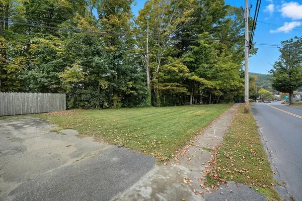 a view of a yard with plants and trees
