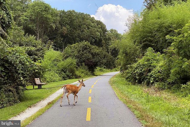 $247,500 | 4600 South Four Mile Run Drive, Unit 820, Arlington, VA 22204