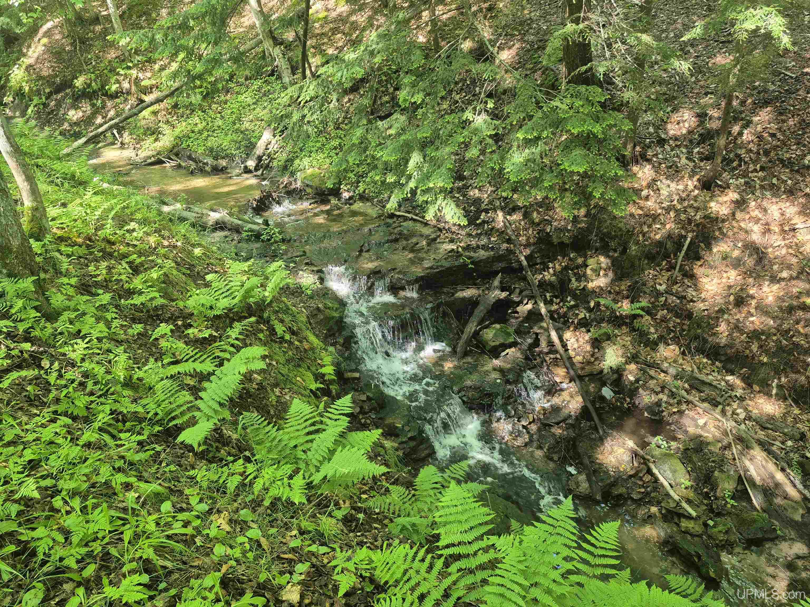 8-acres Nestor Road Munising, MI 49862 - Photo 26 of 43
