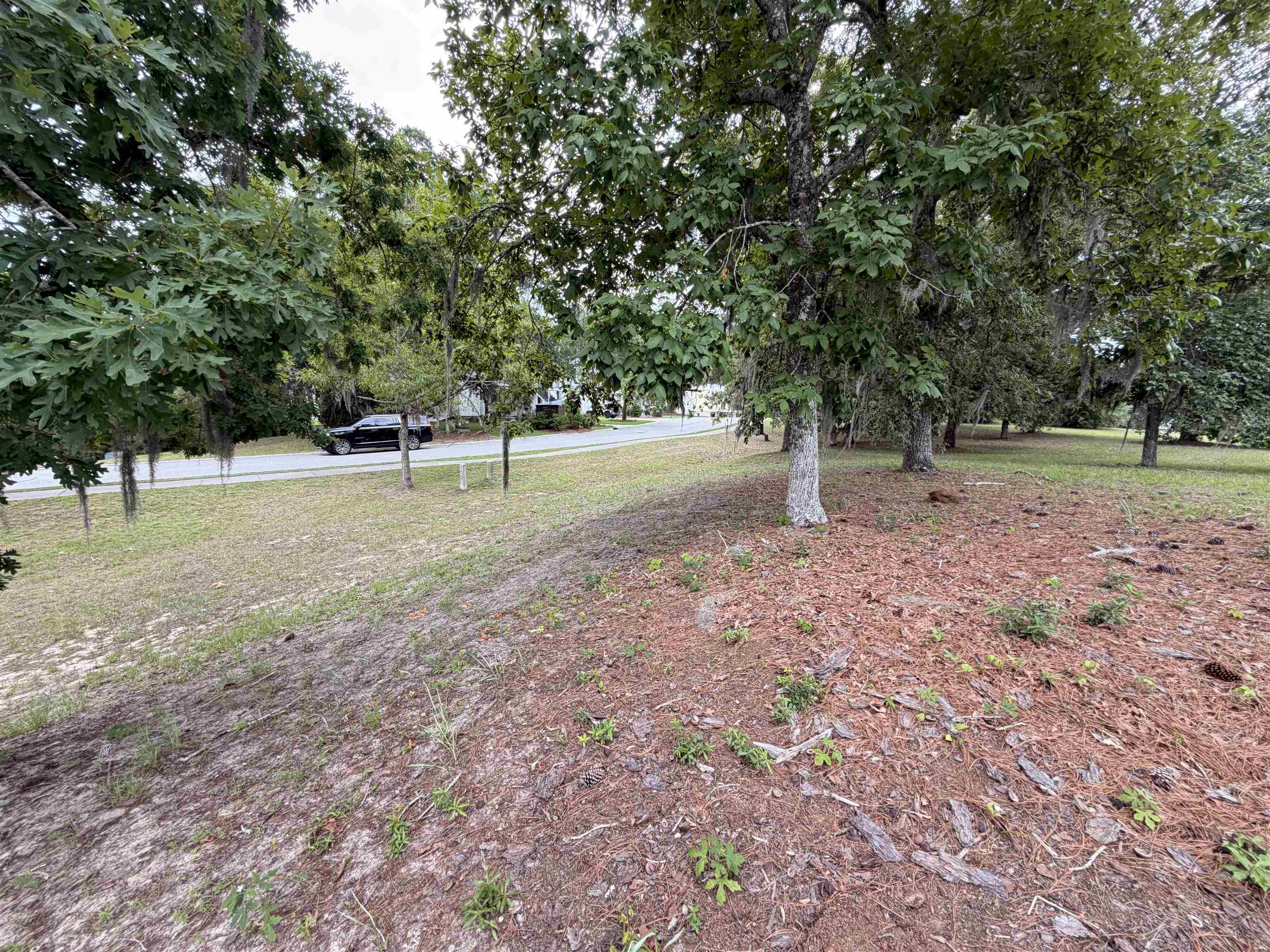 322 Lagrange Road Georgetown, SC 29440 - Photo 3 of 9