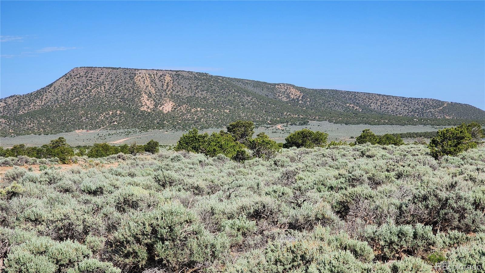 1691 Luke Road Fort Garland, CO 81133 - Photo 3 of 13 Gallery Image 3