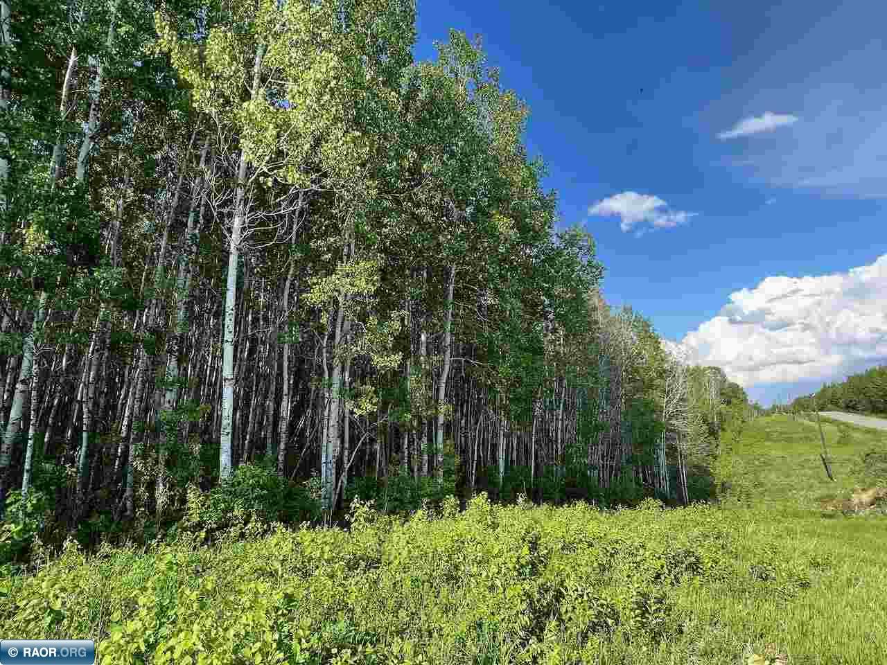 Tbd Willow River Road Orr, MN 55771 - Photo 13 of 15
