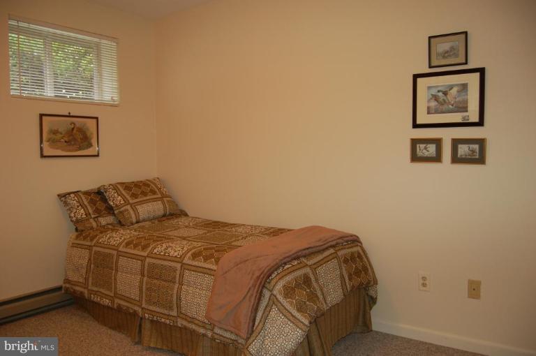 3112 Russell Road Alexandria, VA 22305 - Photo 18 of 30 Lower level bedroom w full bath