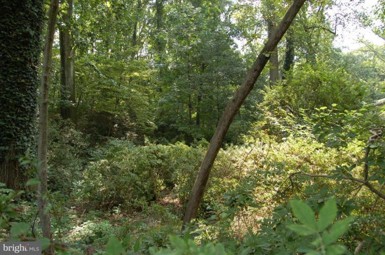 3112 Russell Road Alexandria, VA 22305 - Photo 27 of 30 Backs to parkland!