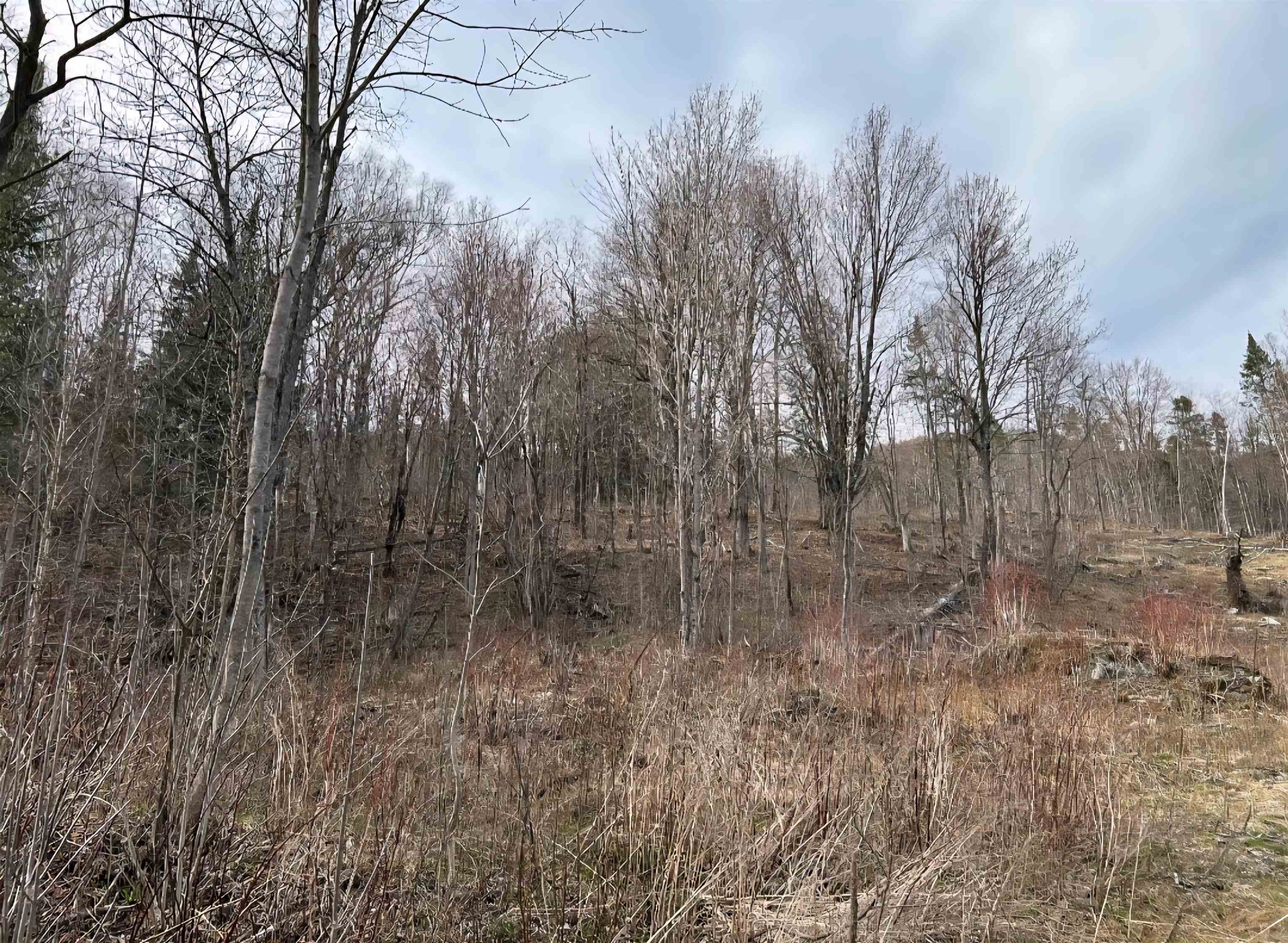 1837 River Road Beecher Falls, VT 05902 - Photo 3 of 34