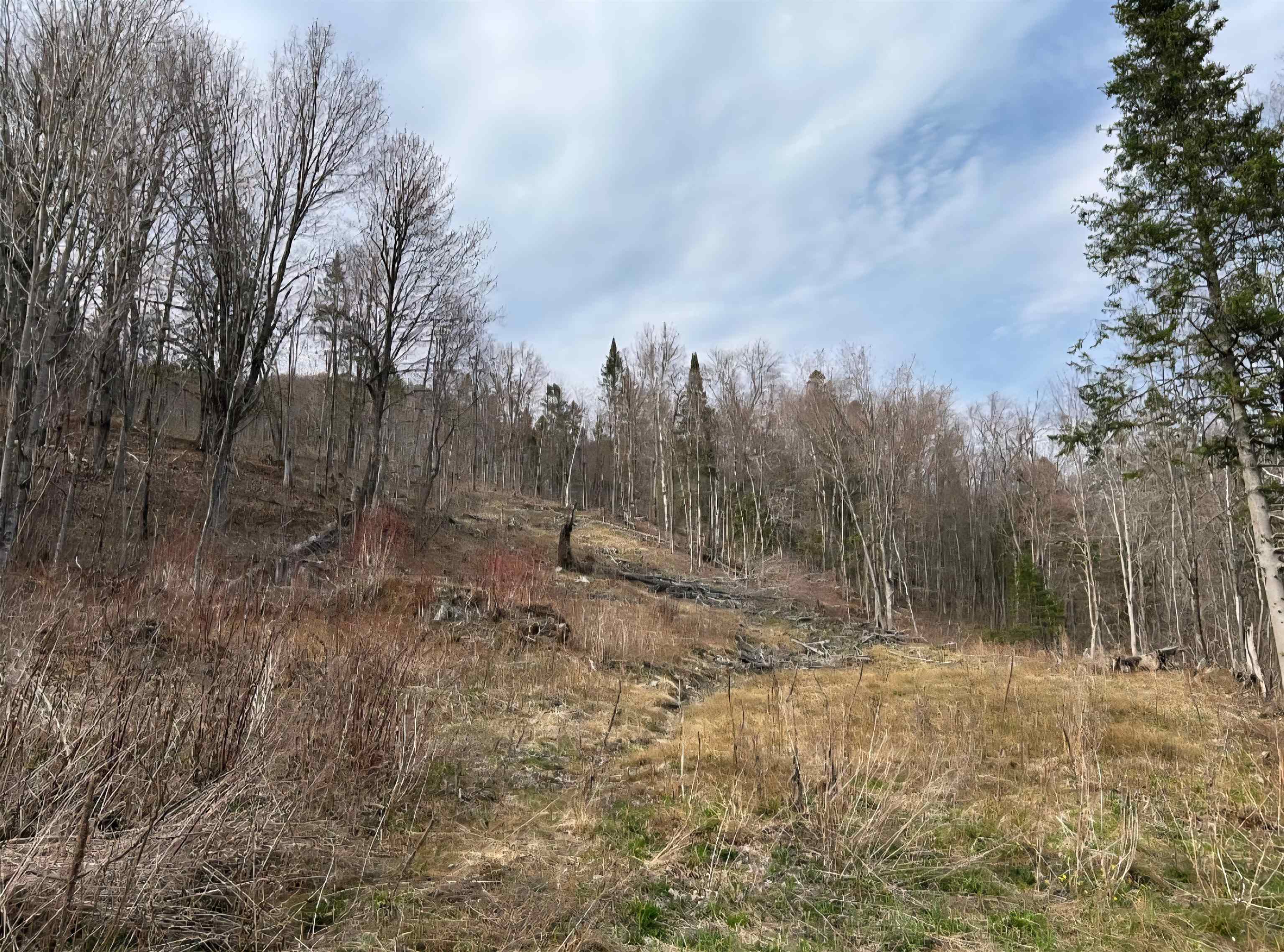 1837 River Road Beecher Falls, VT 05902 - Photo 4 of 34