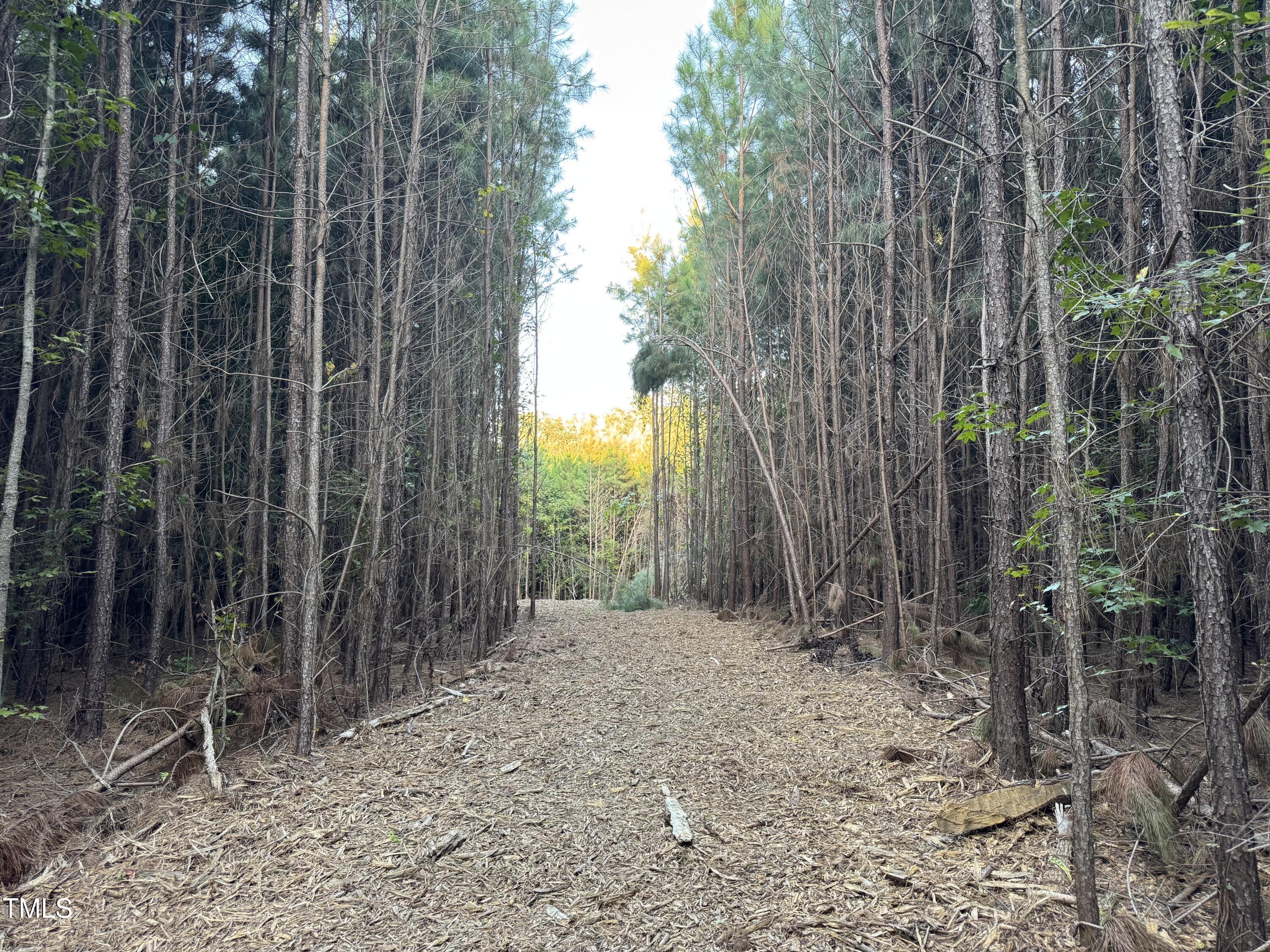 586 Poythress Road Chapel Hill, NC 27516 - Photo 15 of 33 a view of backyard with green space