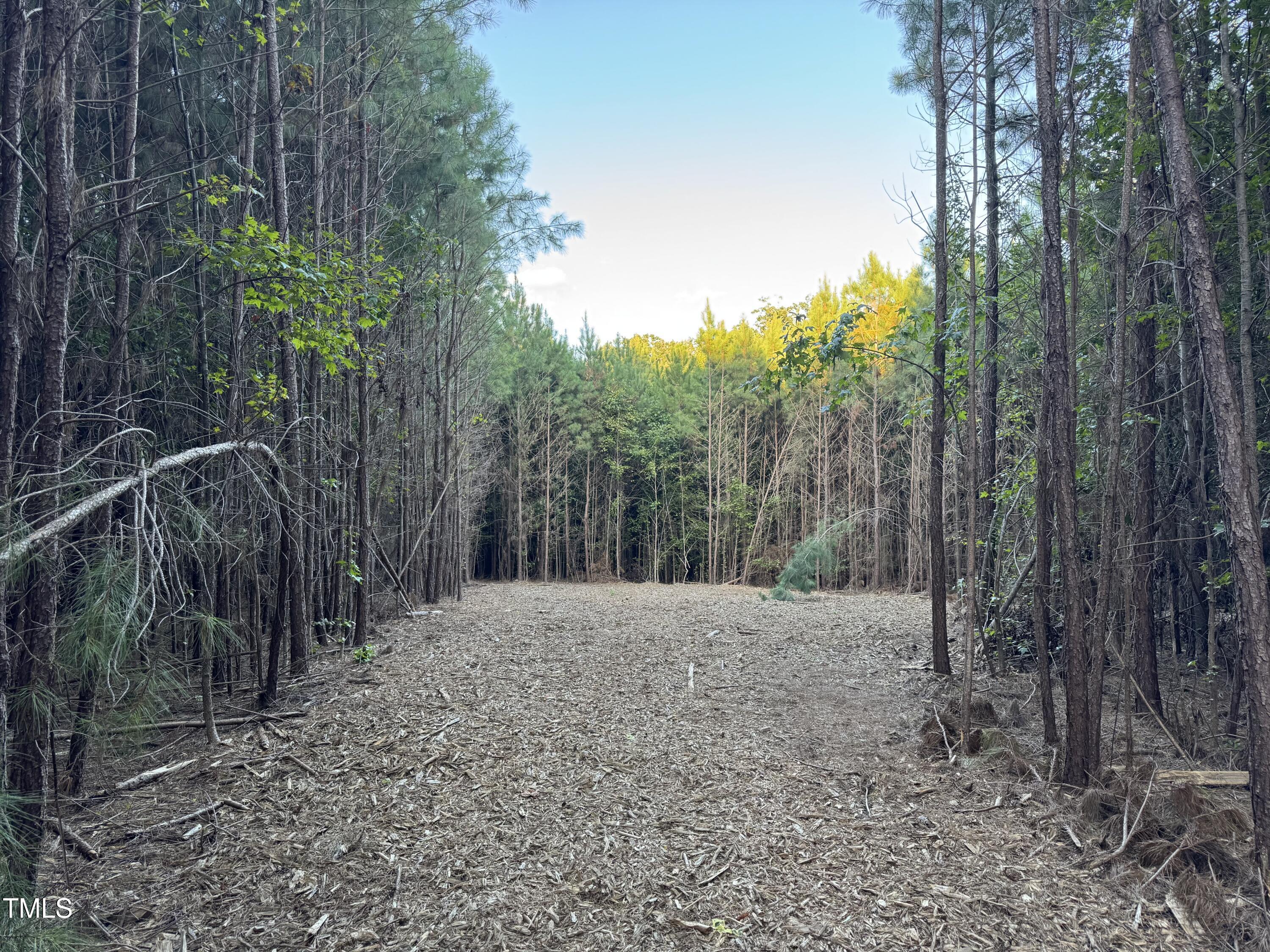 586 Poythress Road Chapel Hill, NC 27516 - Photo 16 of 33 a view of an outdoor space with trees