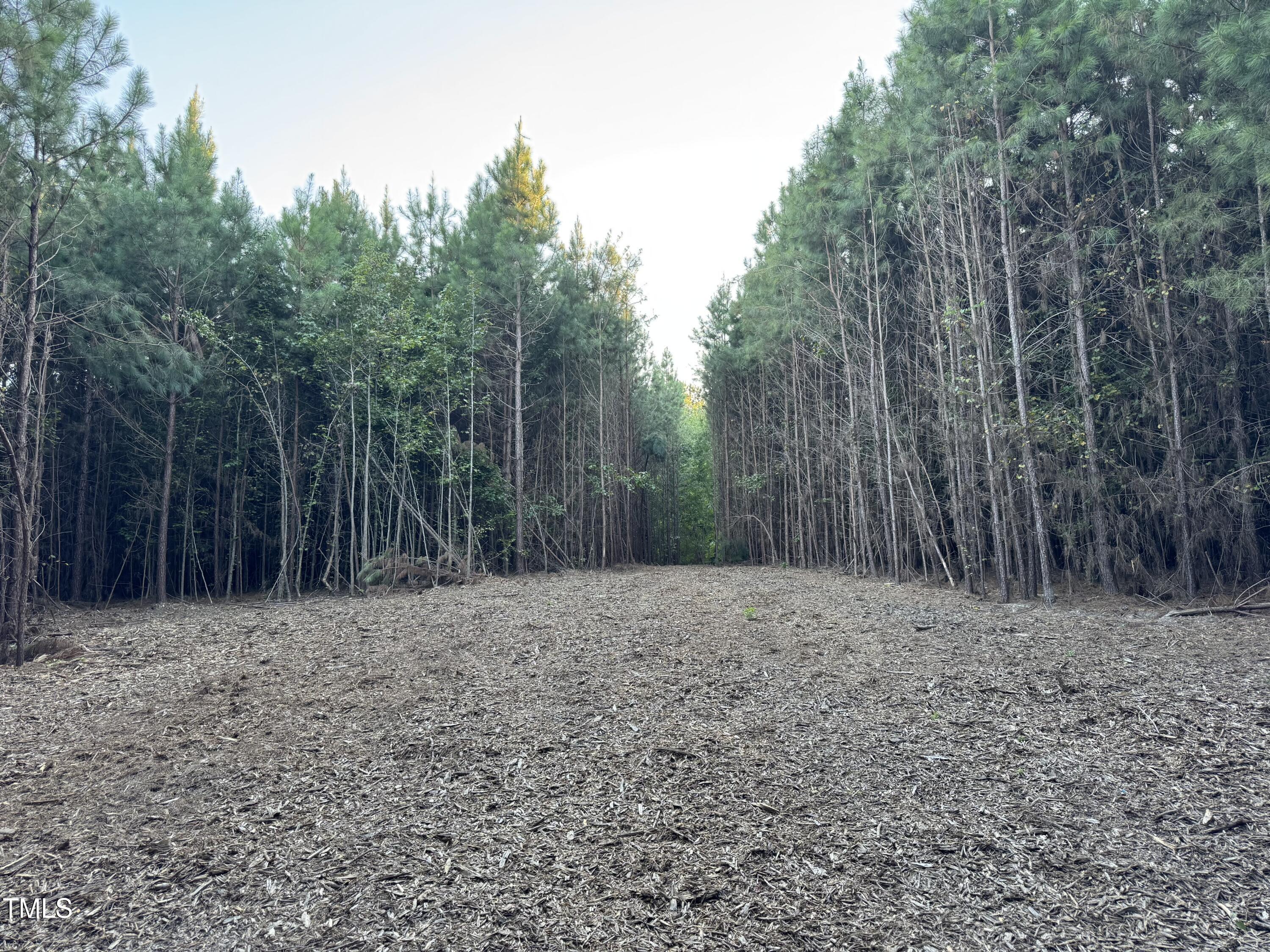 586 Poythress Road Chapel Hill, NC 27516 - Photo 17 of 33 a view of a yard with trees