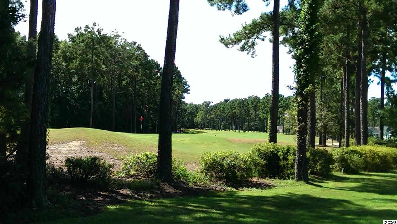 105 Wicklow Drive Murrells Inlet, SC 29576 - Photo 12 of 25 Gallery Image 12
