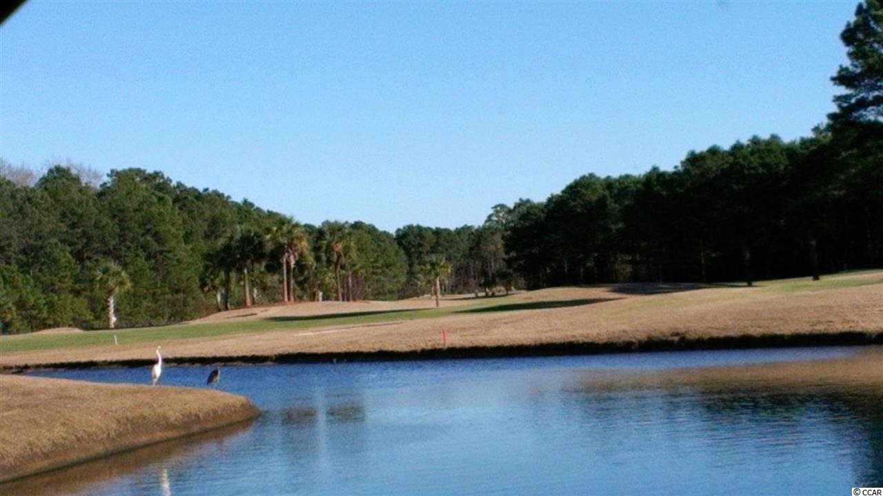 105 Wicklow Drive Murrells Inlet, SC 29576 - Photo 6 of 25 Gallery Image 6
