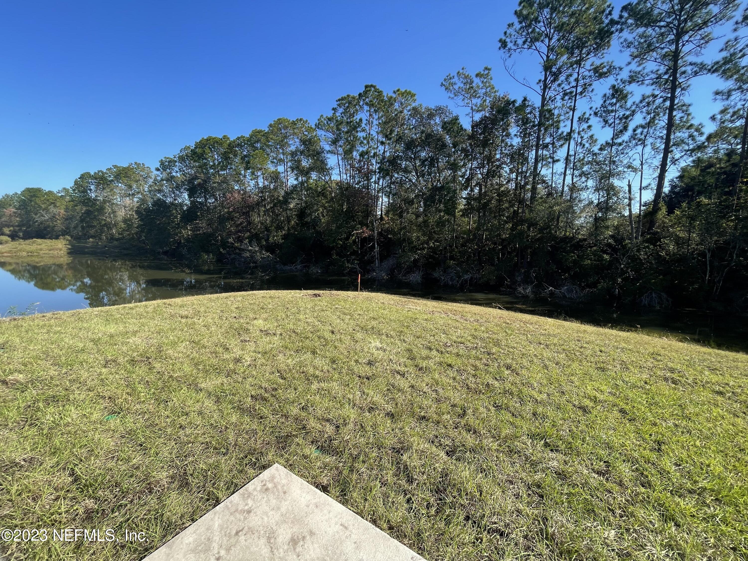 1425 Lake Foxmeadow Road Middleburg, FL 32068 - Photo 17 of 20 FM 15 Backyard