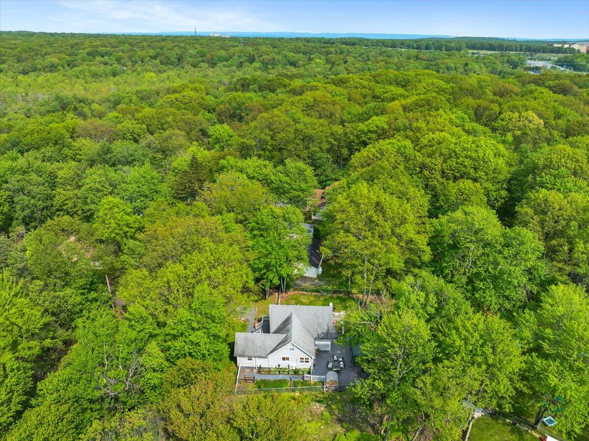 3137 Fern Road Pocono Summit, PA 18346 - Photo 39 of 51 03-DJI_0961