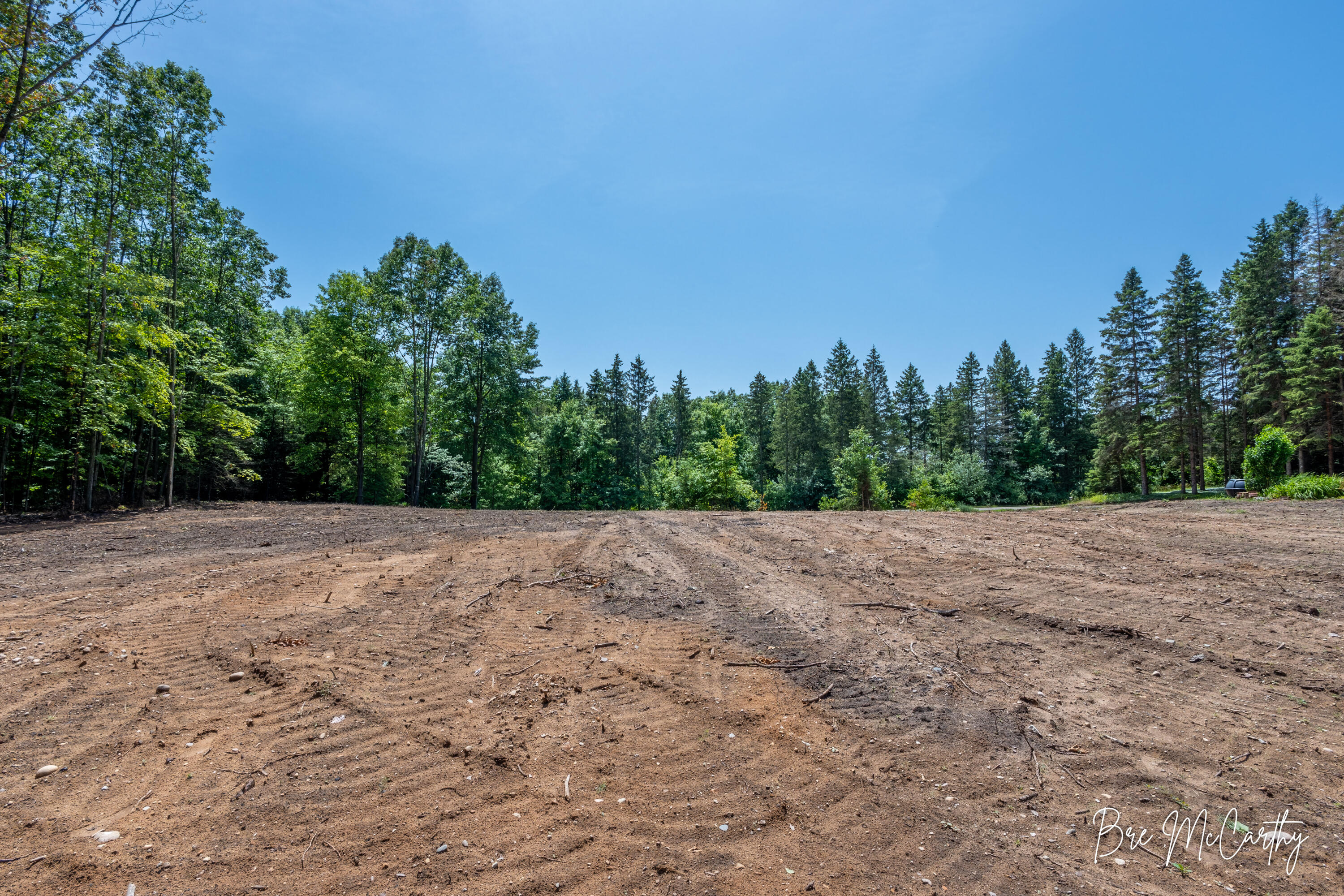 V/l Spruce Ridge Road Bear Lake, MI 49614 - Photo 23 of 32 Property Looking Towards Road