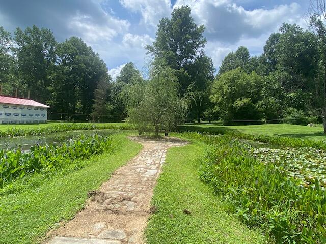 1601 Schmidt Road Bainbridge, OH 45612 - Photo 10 of 46 IMG_1678