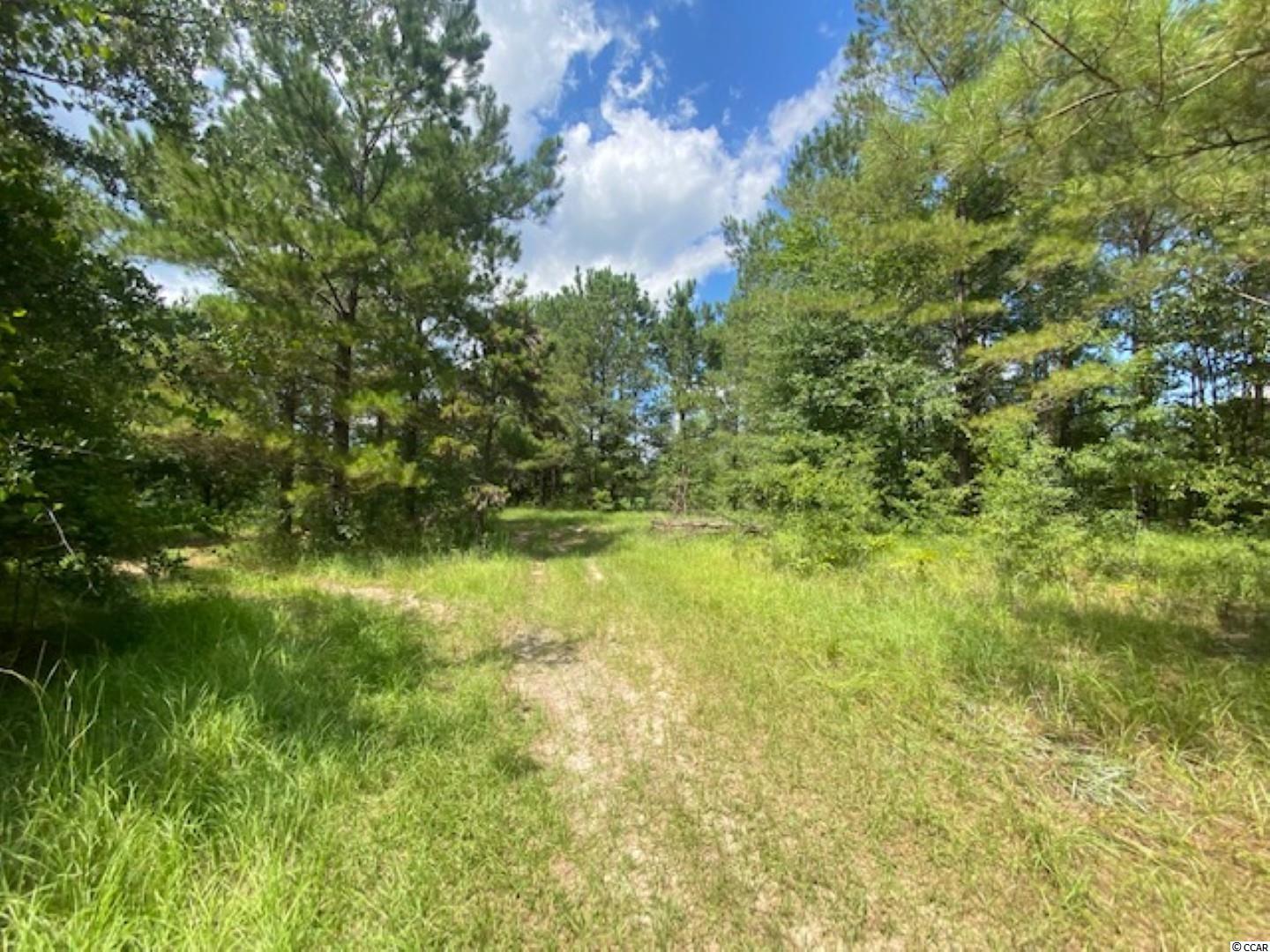 Lot 7 Antioch Road Conway, SC 29527 - Photo 11 of 12 Gallery Image 11