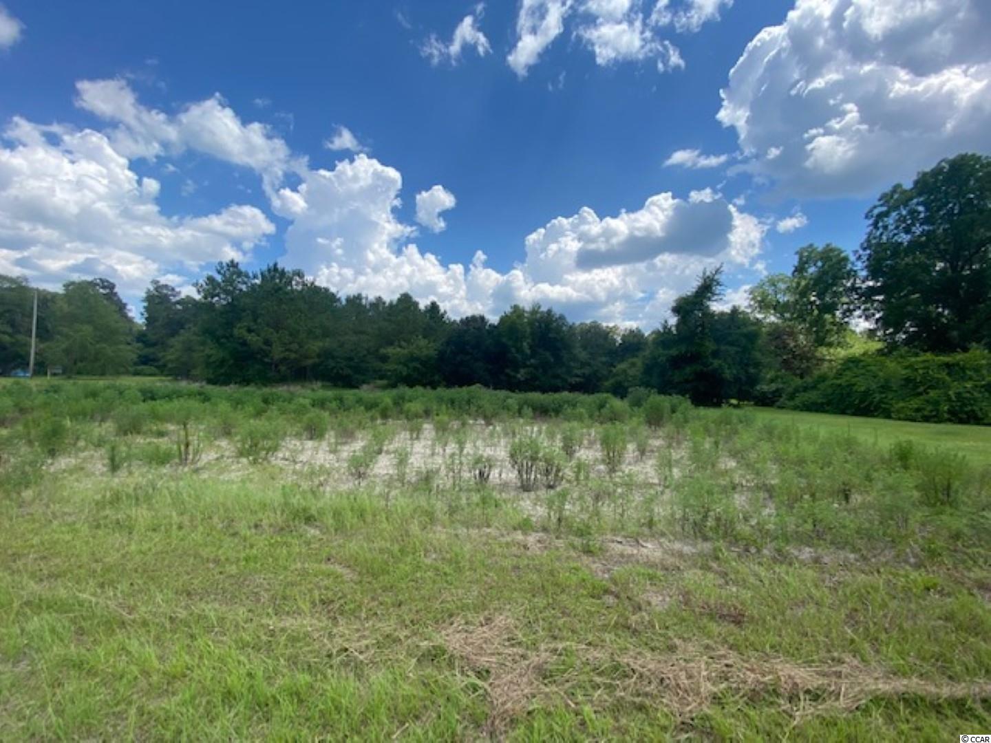 Lot 7 Antioch Road Conway, SC 29527 - Photo 2 of 12 Gallery Image 2