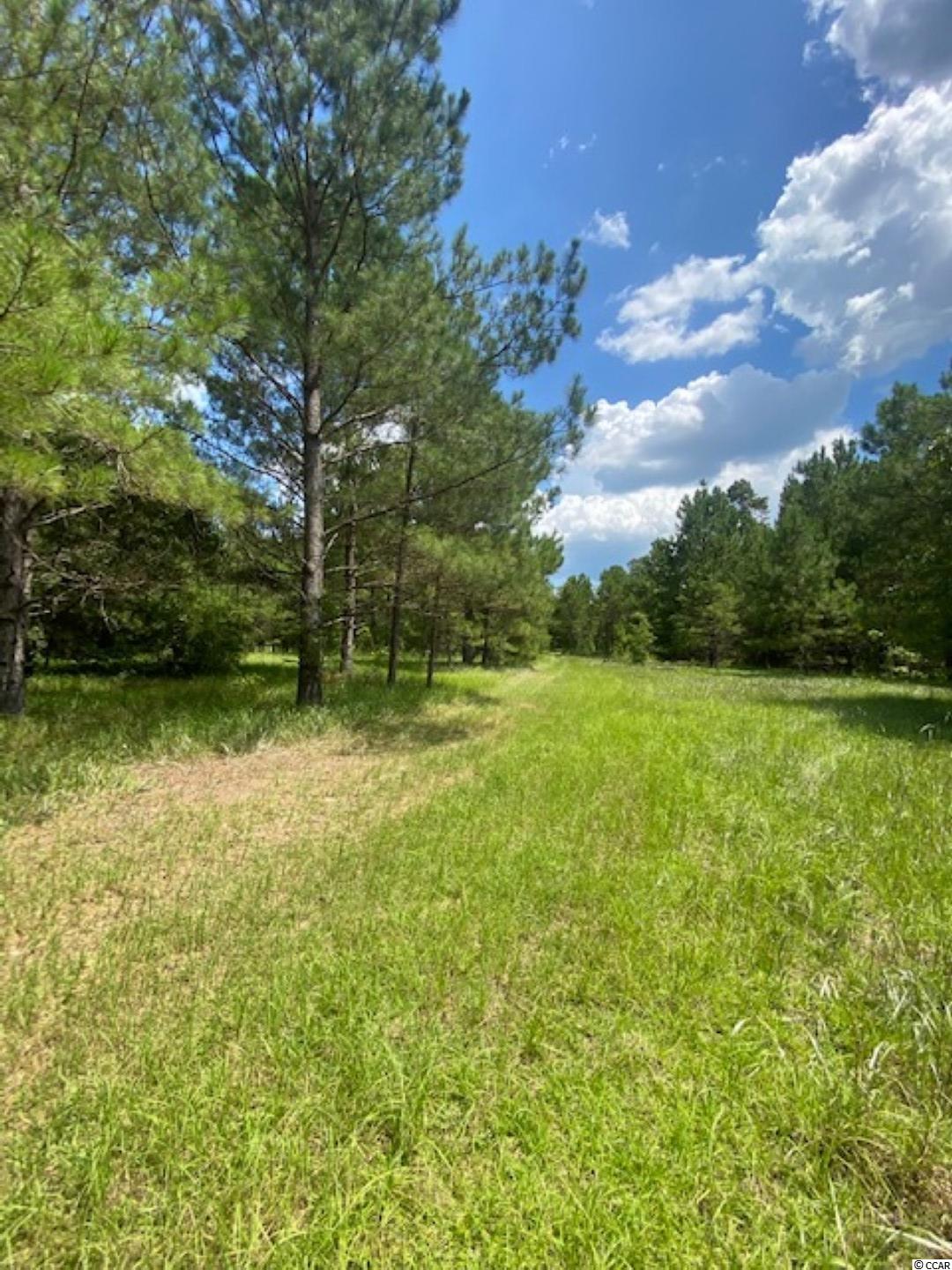 Lot 7 Antioch Road Conway, SC 29527 - Photo 8 of 12 Gallery Image 8