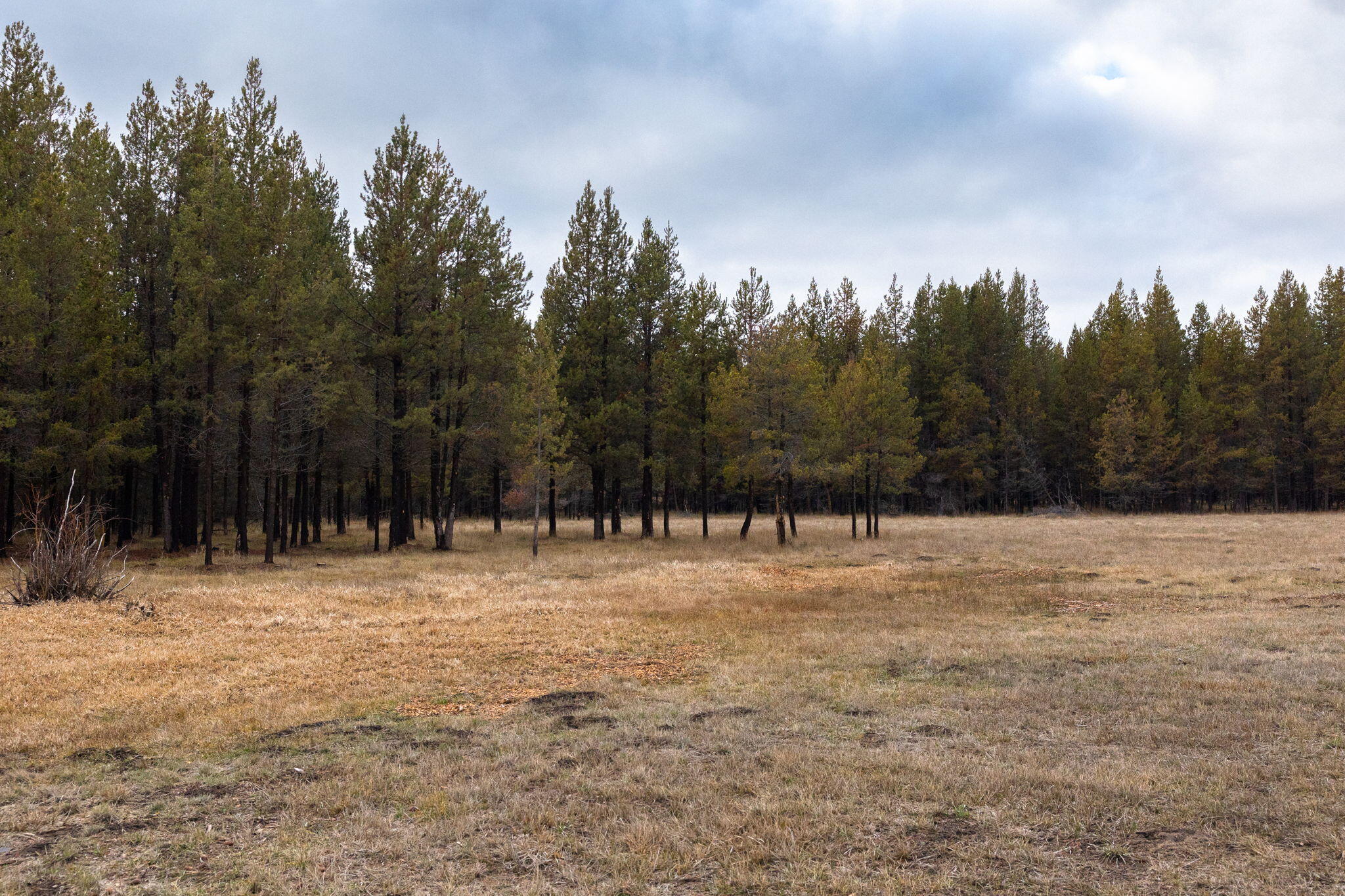 15792 Jackpine Road La Pine, OR 97739 - Photo 9 of 56 15792 Jackpine Rd