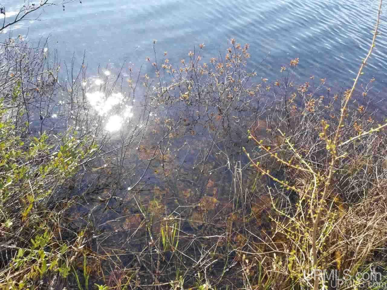 Tbd 2224 Road Wetmore, MI 49895 - Photo 3 of 14
