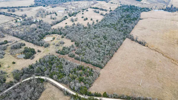 a view of a dry yard
