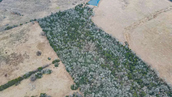 a view of a dry yard